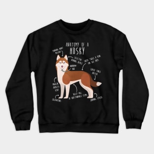 Red Siberian Husky Dog Anatomy Crewneck Sweatshirt